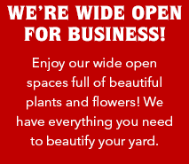 We're Wide Open for Business!