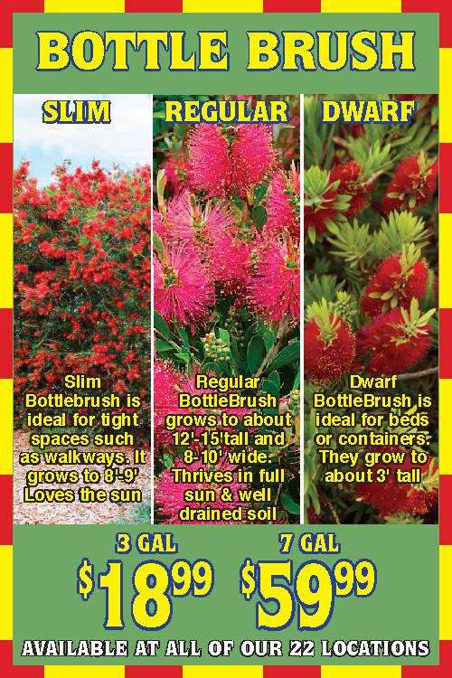 Houston Garden Centers Plant Of The Month A New Sale Every