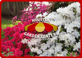 Houston Garden Centers Houston S Largest Selection Of Plants